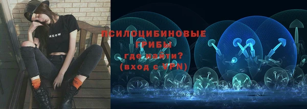 индика Верхнеуральск