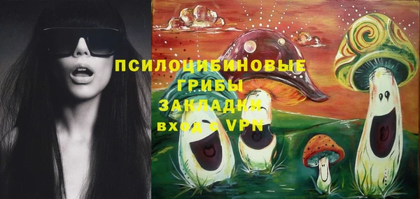 крисы Верея