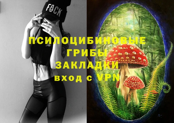 крисы Верея
