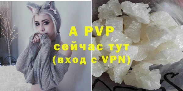 крисы Верея