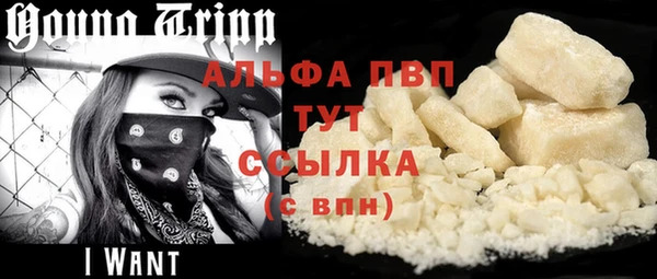 крисы Верея