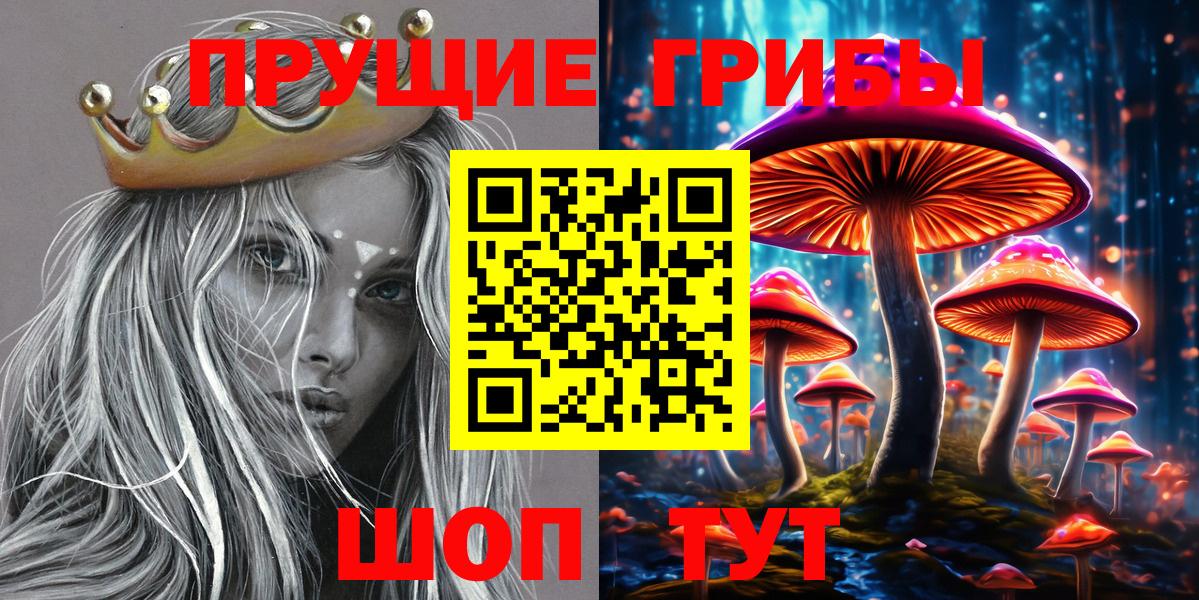Псилоцибиновые грибы мицелий  Вход с VPN  Алатырь  Галлюциногенные грибы Cubensis 