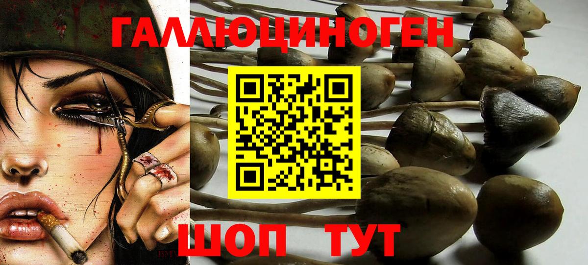 Галлюциногенные грибы мицелий Алатырь