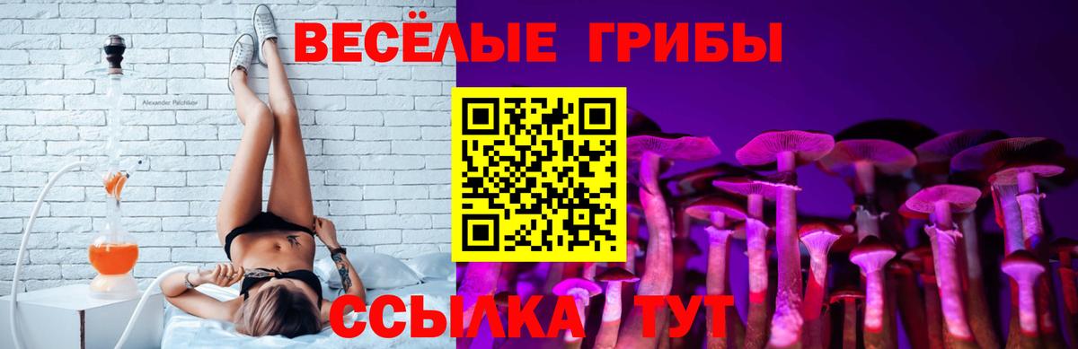 как найти закладки  Галлюциногенные грибы мухоморы  Алатырь  Галлюциногенные грибы мухоморы 